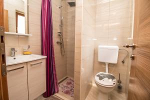 e bagno con servizi igienici, lavandino e doccia. di Nice place a Rovigno (Rovinj)
