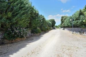 マーリエにあるMasseria i Cocciの木と石垣の未舗装道路
