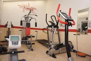 Fitness centrum a/nebo fitness zařízení v ubytování Hotel Heikenberg