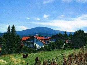 una casa en un campo con una montaña en el fondo en Pension Landhaus Hochfeld, en Zwiesel
