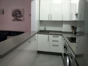 Kuchyňa alebo kuchynka v ubytovaní Precioso Apartamento Frente Al Mar