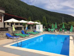 Photo de la galerie de l'établissement Vila Briana, à Păltiniş