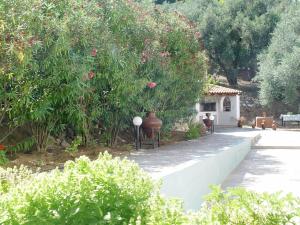 a garden with a large vase and a tree at Villa Maro in Skopelos Town