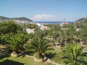 an aerial view of a park with palm trees at Villa Maro in Skopelos Town