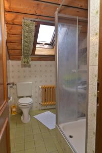 a bathroom with a toilet and a glass shower at Ferienwohnung Waldheimat in Bayerisch Eisenstein