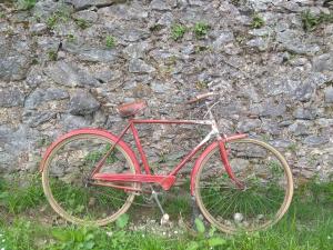 Jízda na kole v ubytování La Bicicleta Casa Rural nebo okolí