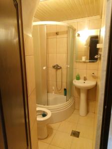 a bathroom with a shower and a toilet and a sink at V&J apartments in Podgorica +18 photos