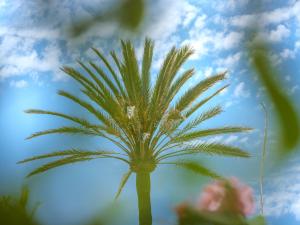 Fotografie z fotogalerie ubytování Hotel Ciutat Jardi v destinaci Palma de Mallorca