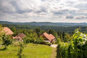 Blick auf einen Bauernhof mit Bergen im Hintergrund in der Unterkunft Vineyard Cottage Pod Piramido in Dobrnič