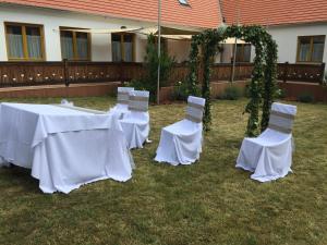 Vonkajšia záhrada v ubytovaní Levendula Porta és Pajtaszínház