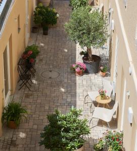 Zahrada ubytování Hotel am Peterstor