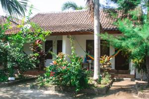 Κήπος έξω από το Mellow Hostel