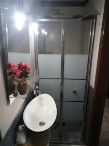 A bathroom at Apartamentos turísticos La Fuensanta
