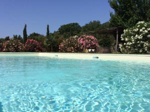 een zwembad met blauw water en bloemen bij Agriturismo Lupo Vecchio in Grosseto