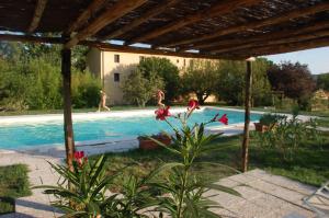 a group of people jumping into a swimming pool at Agriturismo Lupo Vecchio in Grosseto