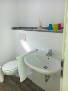 a bathroom with a white sink and a toilet at Ferienwohnung Pfeifer in Friedrichsdorf