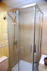 オウレンセにあるPiso Ourense Bonito y Termalのバスルーム(ガラスドア付きのシャワー付)
