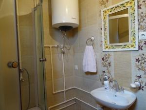 a bathroom with a shower and a sink and a mirror at Apartments Bulatovic in Žabljak