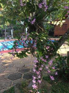 Bassein majutusasutuses Ypsylon Tourist Resort või selle lähedal