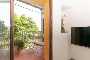 Zahrada ubytování ecoGrusApartments