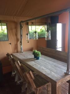 a wooden table in a tent with chairs and lights at Glamping Amsterdam "only to be reached by boat" in Baambrugse Zuwe +8 photos