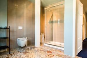 łazienka z toaletą i prysznicem w obiekcie Zamkowe Wzgórze Dom nr 6 Kazimierz Dolny, Góry 3 w Kazimierzu Dolnym