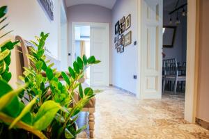 Fotografia z galérie ubytovania Premium Apartments Villa Herkules v destinácii Opatija