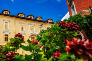 Vonkajšia záhrada v ubytovaní Premium Apartments Villa Herkules