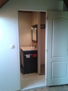 uma casa de banho com um lavatório e um espelho em Chambres d 'hôtes "Au vieux Préssoir" em Belley