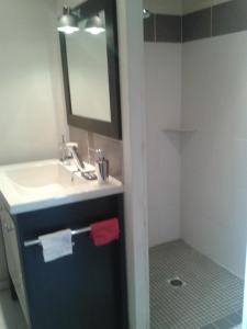 a bathroom with a sink and a mirror at Chambres d 'hôtes "Au vieux Préssoir" in Belley