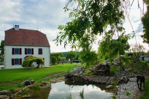 a white house with a red roof next to a river at Jungbrunnen Orges in Orges