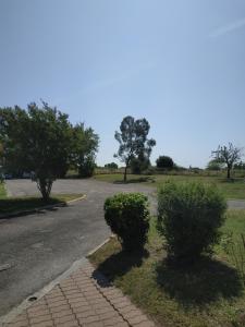 Photo de la galerie de l'établissement Hotel - Restaurant du Lac - Agen, à Boé