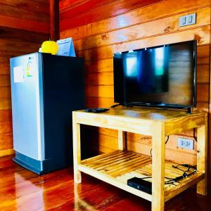 TV e piccolo frigorifero in camera di We Care Resort a Wi-jiērn
