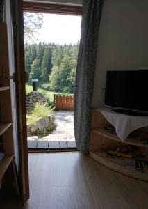 TV a/nebo společenská místnost v ubytování Chalet Katrin