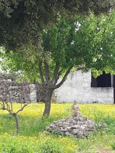 Zahrada ubytování Masseria Cassiere