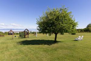 a tree in a field with two chairs and a gazebo at Motel au Fleuve d'Argent in Rivière-du-Loup
