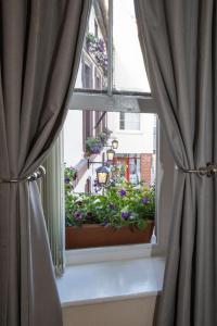 una ventana con una maceta de flores en el alféizar de la ventana en The Royal Oak Pub en Lampeter