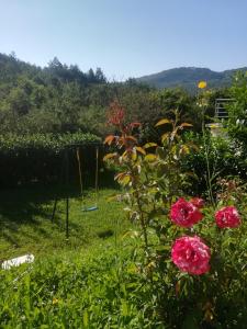 Fotografie z fotogalerie ubytování Holiday Home Mandalena v destinaci Buzet