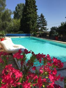 einen Pool mit einem weißen Stuhl und rosa Blumen in der Unterkunft Chateau de Breuil en Beaujolais in Salles-Arbuissonnas