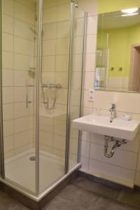 ein Bad mit einer Dusche und einem Waschbecken in der Unterkunft Gasthof Dörsbachhöhe in Herold