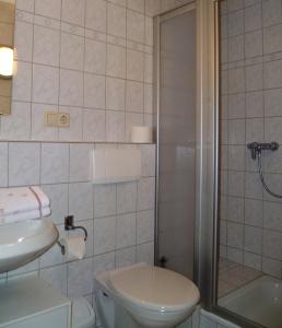 La salle de bains est pourvue de toilettes, d'un lavabo et d'une douche. dans l'établissement Ferienwohnung Bappert, à Oberwesel