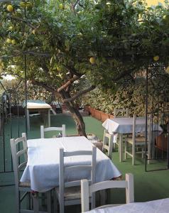A garden outside L'arcobaleno