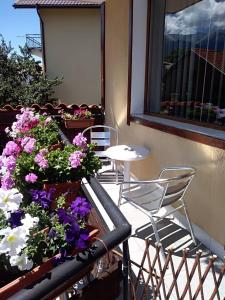 Balkón nebo terasa v ubytování Guest House Planinski Zdravets