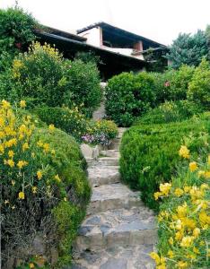 ポルト・チェルボにあるBilocale Ginestre - Costa Smeraldaの花の咲く庭を通る石道