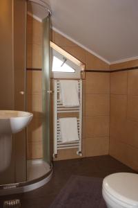 a bathroom with a shower and a toilet and a sink at Casa Ianis in Braşov