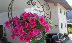 Fotografia z galérie ubytovania Haus Traninger vo Flachau