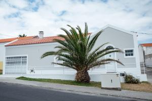 a palm tree in front of a white building at Seaside Azores Villa with natural pool, terrace & barbecue in Capelas