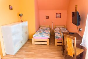 TV a/nebo společenská místnost v ubytování Ubytovanie u Jozefa + 20 fotografií