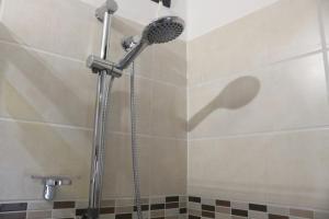 a shower with a shower head in a bathroom at Appartamento via del Grillo 8 in Perugia