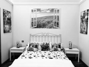 Легло или легла в стая в Pozo Izquierdo Global Paradise